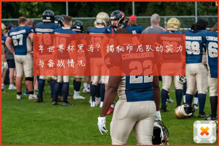 年世界杯黑马？揭秘印尼队的实力与备战情况