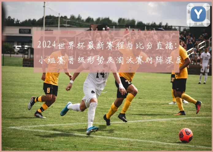 2024世界杯最新赛程与比分直播：小组赛晋级形势及淘汰赛对阵深度解析