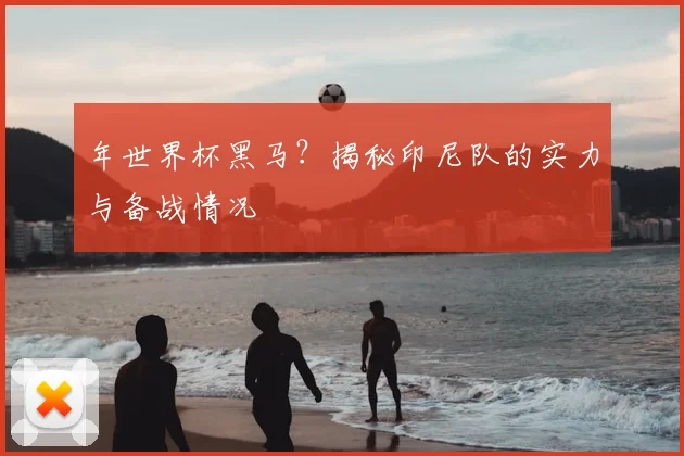 年世界杯黑马？揭秘印尼队的实力与备战情况