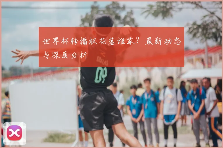世界杯转播权花落谁家？最新动态与深度分析
